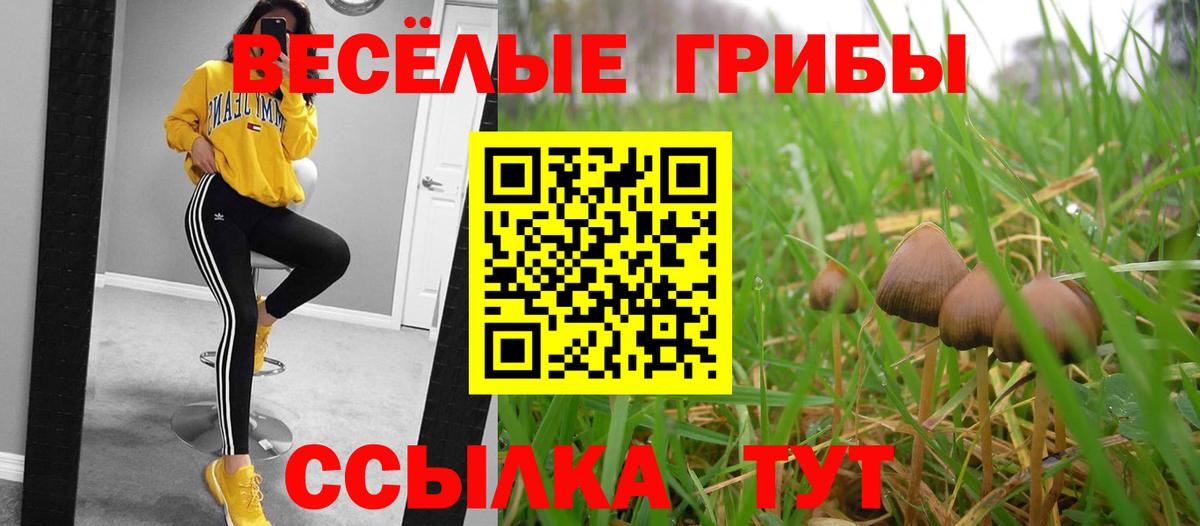 Псилоцибиновые грибы Psilocybe  Вход с VPN  Псилоцибиновые грибы ЛСД  Россошь 